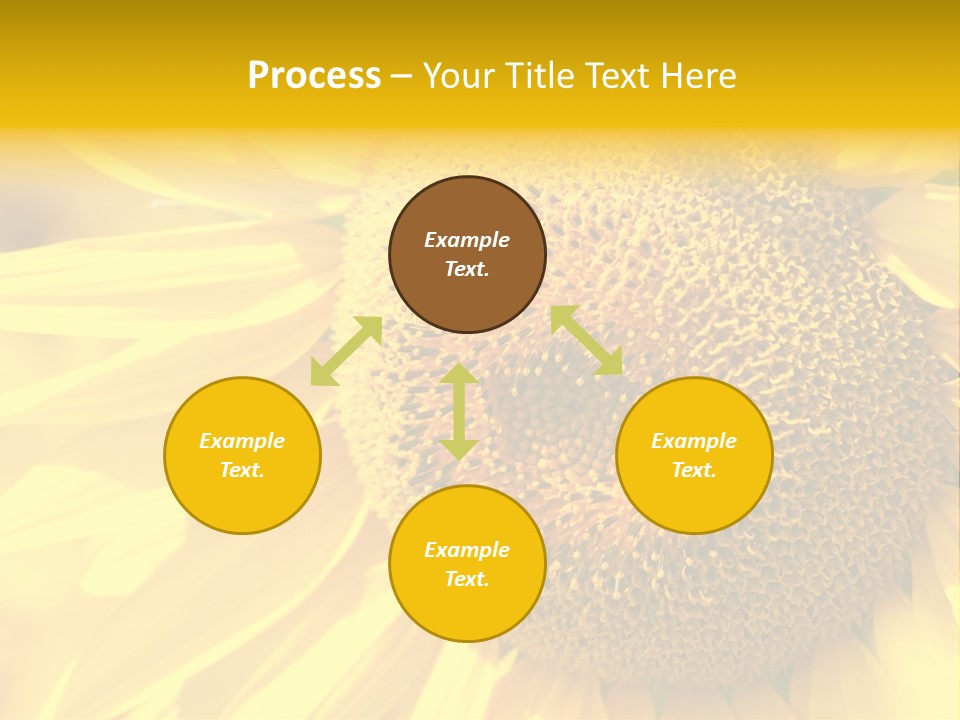 Sunflower Ladybug PowerPoint Template