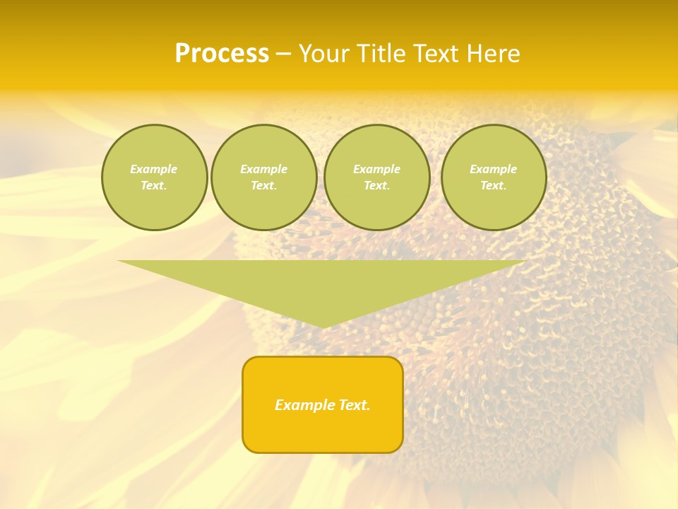 Sunflower Ladybug PowerPoint Template