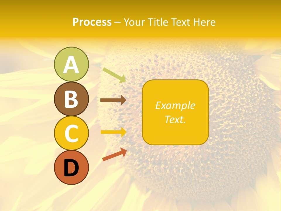 Sunflower Ladybug PowerPoint Template