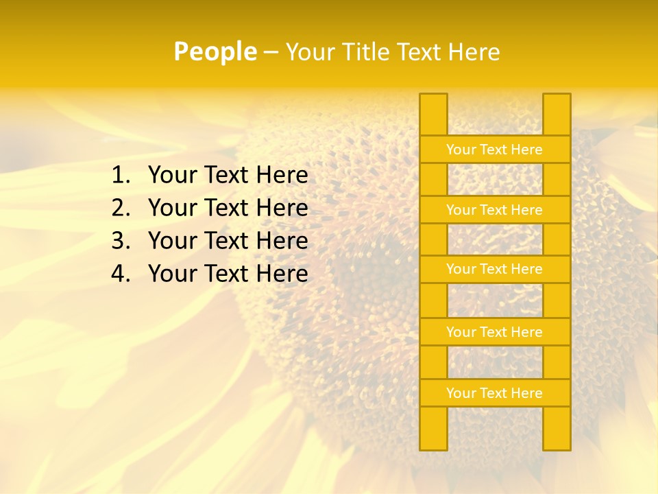 Sunflower Ladybug PowerPoint Template