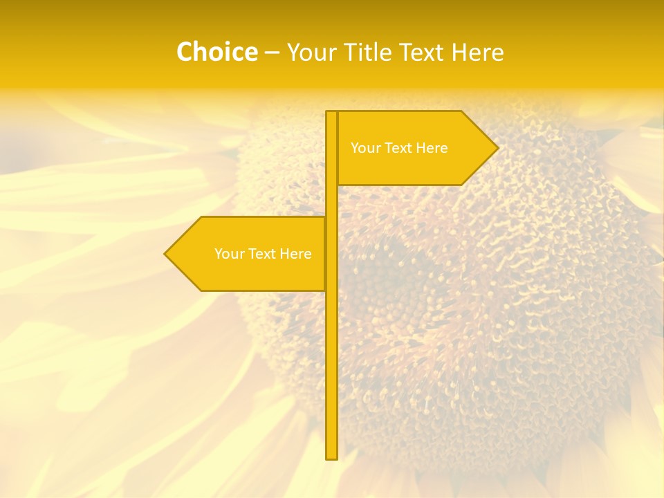 Sunflower Ladybug PowerPoint Template