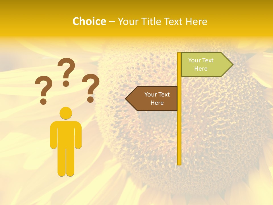 Sunflower Ladybug PowerPoint Template