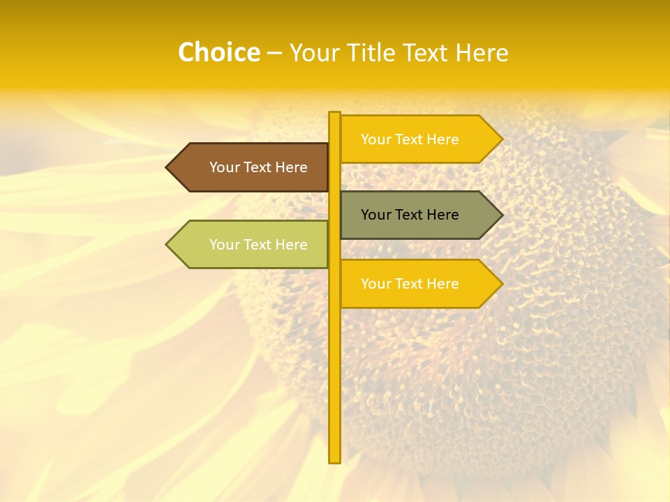 Sunflower Ladybug PowerPoint Template