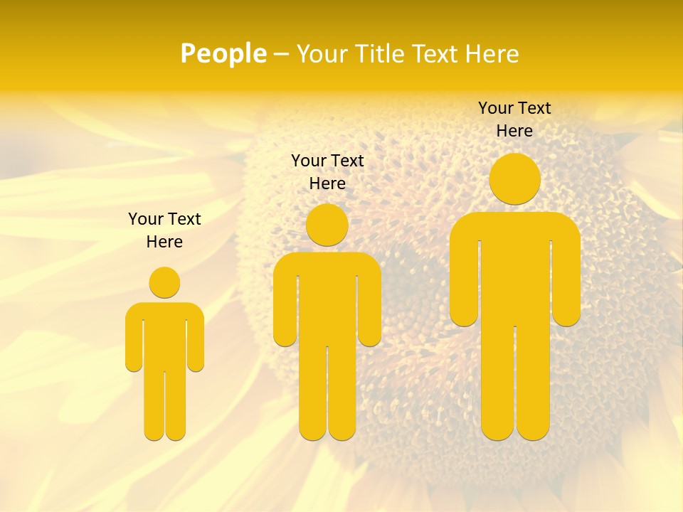 Sunflower Ladybug PowerPoint Template