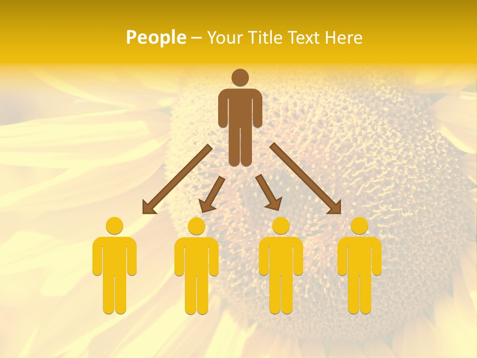 Sunflower Ladybug PowerPoint Template