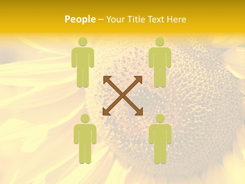 Sunflower Ladybug PowerPoint Template