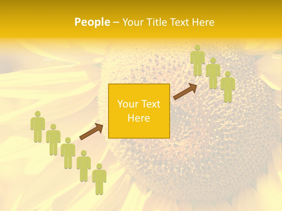 Sunflower Ladybug PowerPoint Template