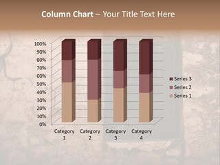 Green Weathered Surface PowerPoint Template