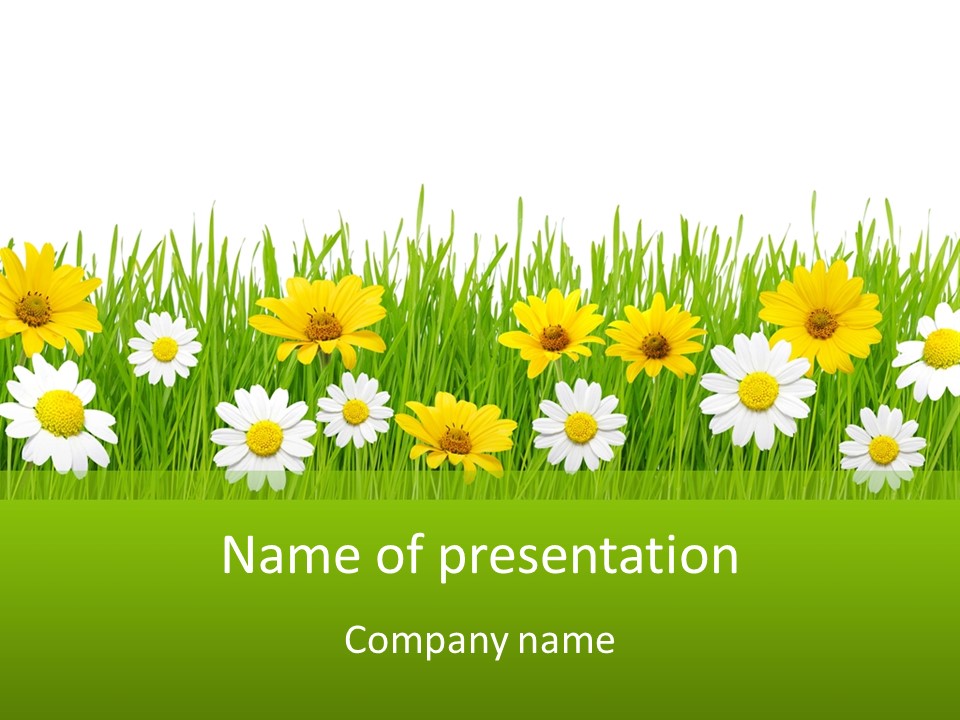 Summer Plant Macro PowerPoint Template