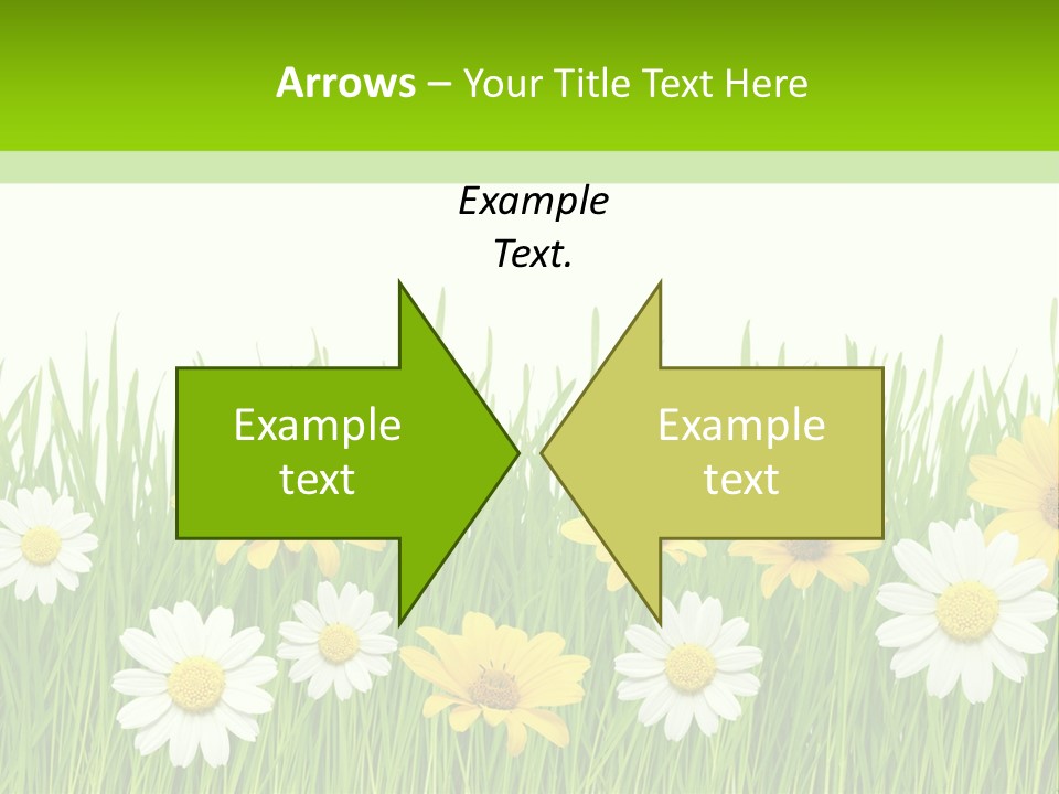 Summer Plant Macro PowerPoint Template