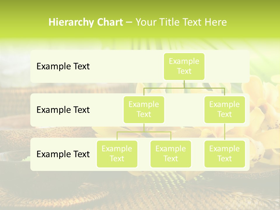 Aromatic Natural Scrub PowerPoint Template