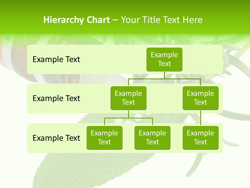 Medicament Homeopathic Softly PowerPoint Template