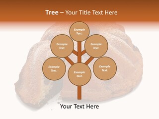 Isolated Indulgence Background PowerPoint Template