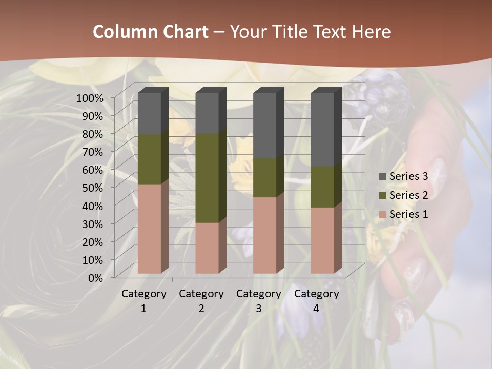 Woman Lace Event PowerPoint Template