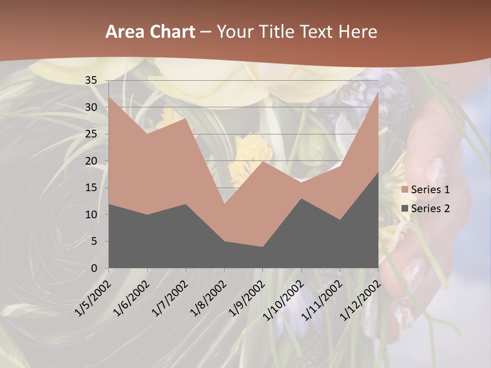 Woman Lace Event PowerPoint Template