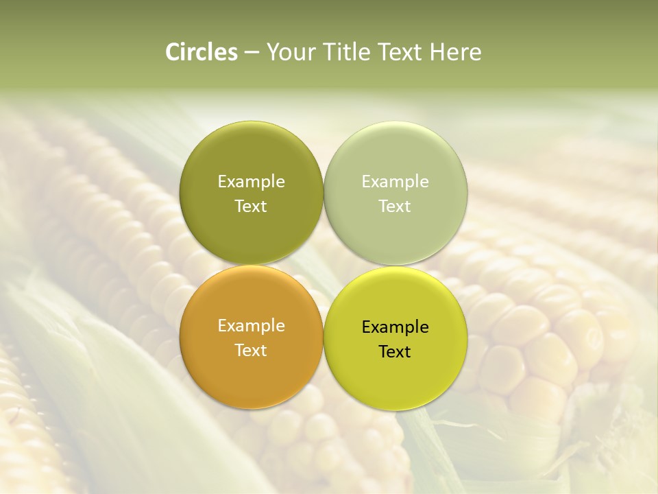 Produce Fresh Eat PowerPoint Template