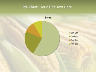 Produce Fresh Eat PowerPoint Template