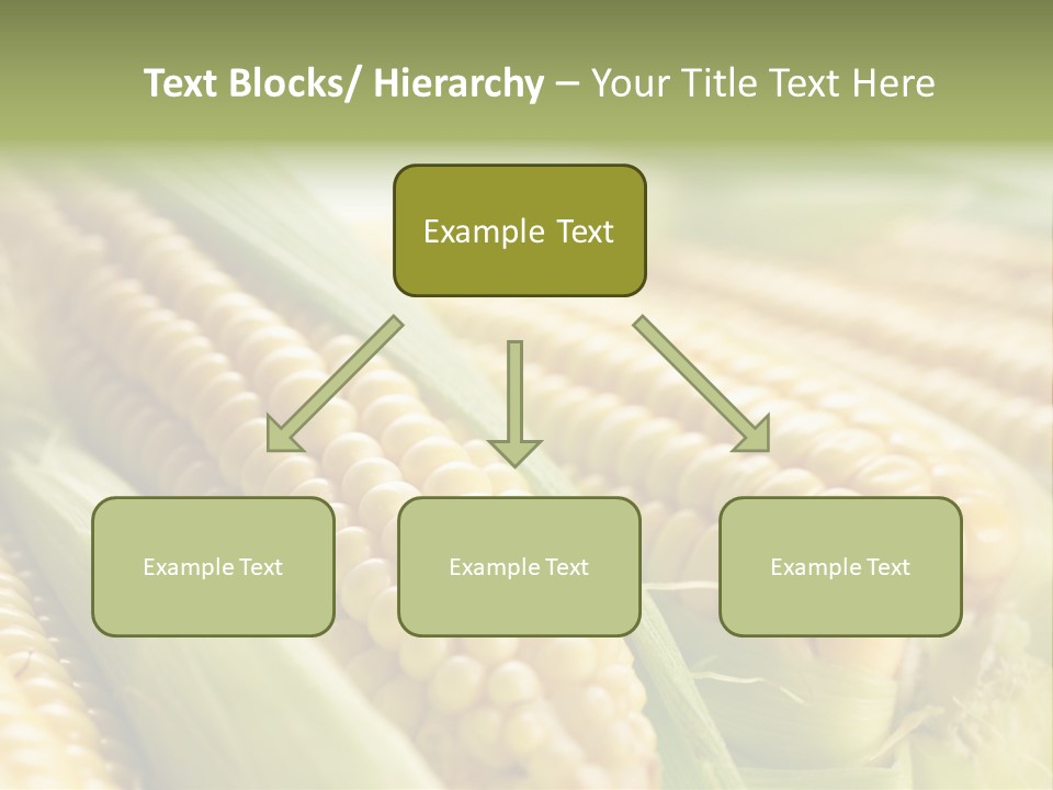 Produce Fresh Eat PowerPoint Template