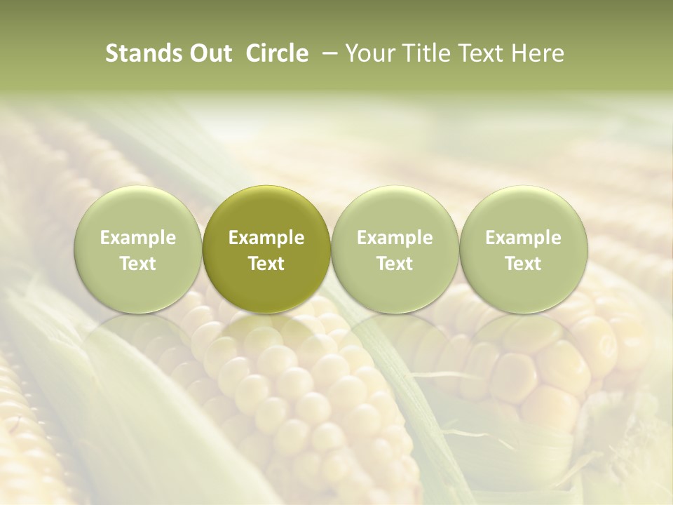 Produce Fresh Eat PowerPoint Template