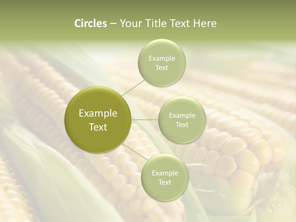 Produce Fresh Eat PowerPoint Template