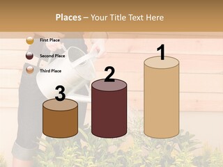 Blond Green Alone PowerPoint Template