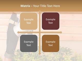 Blond Green Alone PowerPoint Template