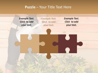 Blond Green Alone PowerPoint Template