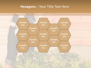 Blond Green Alone PowerPoint Template