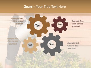 Blond Green Alone PowerPoint Template