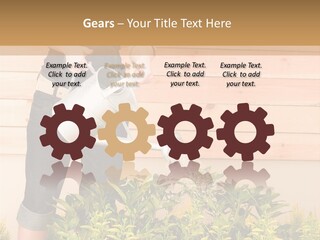 Blond Green Alone PowerPoint Template