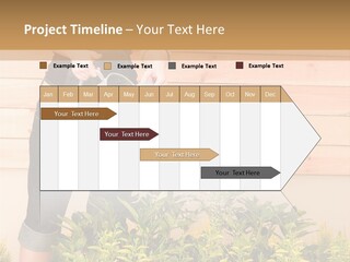 Blond Green Alone PowerPoint Template
