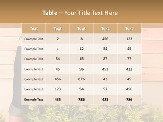 Blond Green Alone PowerPoint Template