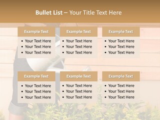 Blond Green Alone PowerPoint Template