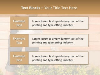 Blond Green Alone PowerPoint Template