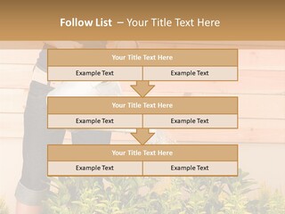 Blond Green Alone PowerPoint Template