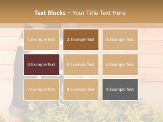 Blond Green Alone PowerPoint Template