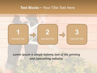 Blond Green Alone PowerPoint Template