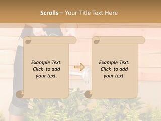 Blond Green Alone PowerPoint Template