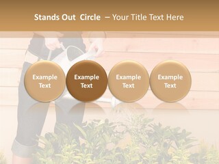 Blond Green Alone PowerPoint Template