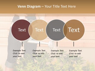 Blond Green Alone PowerPoint Template