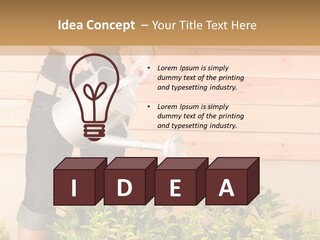 Blond Green Alone PowerPoint Template