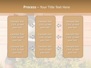 Blond Green Alone PowerPoint Template