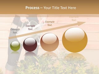 Blond Green Alone PowerPoint Template