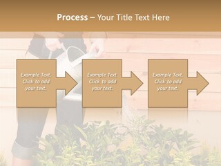 Blond Green Alone PowerPoint Template