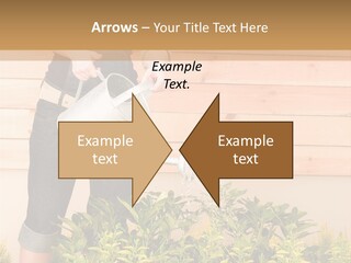Blond Green Alone PowerPoint Template