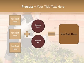 Blond Green Alone PowerPoint Template