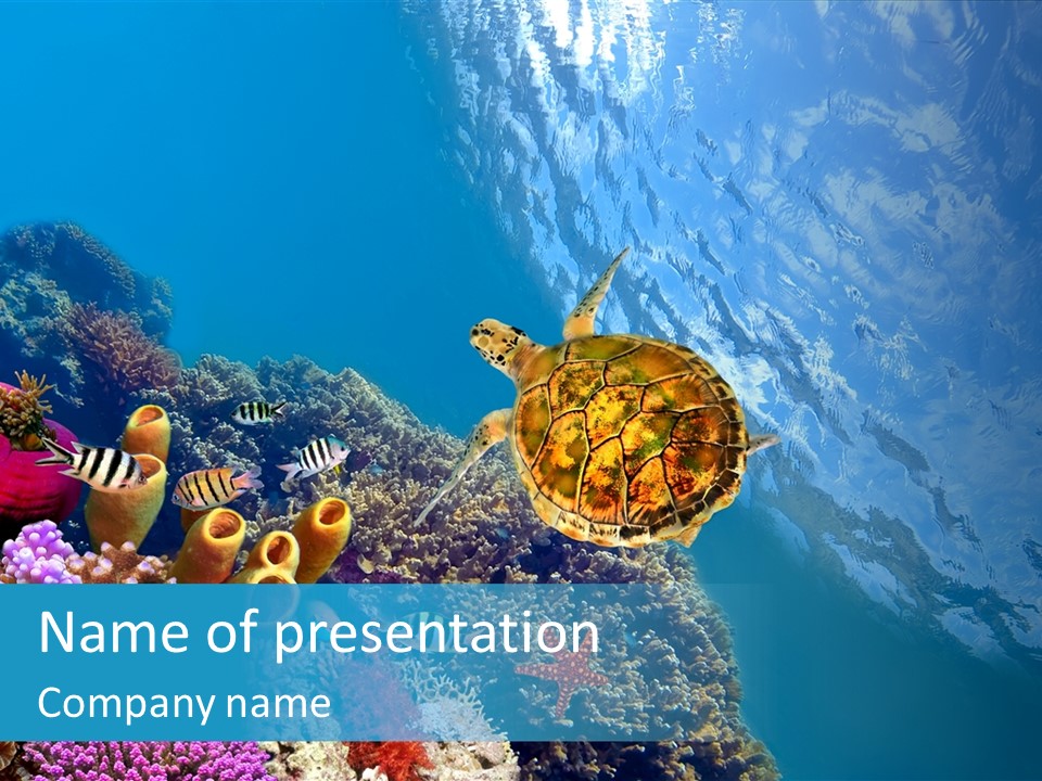 Coral Tropical Holiday PowerPoint Template