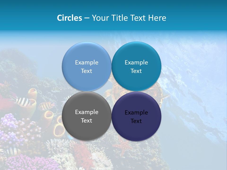 Coral Tropical Holiday PowerPoint Template