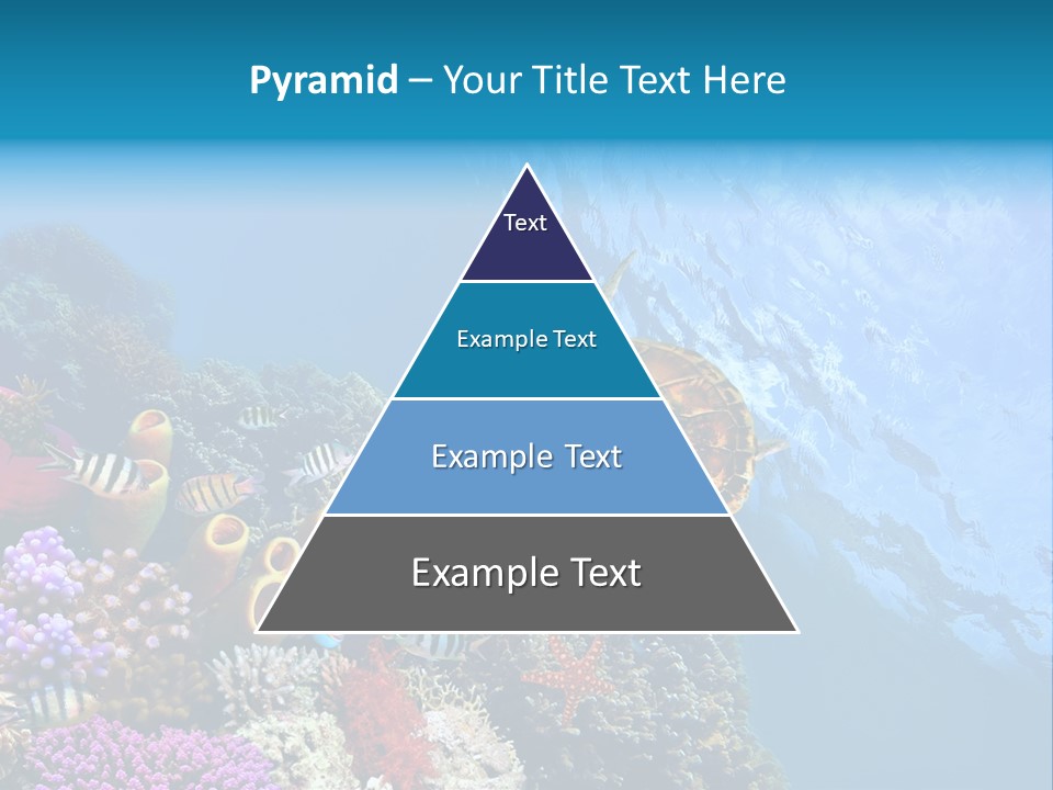 Coral Tropical Holiday PowerPoint Template