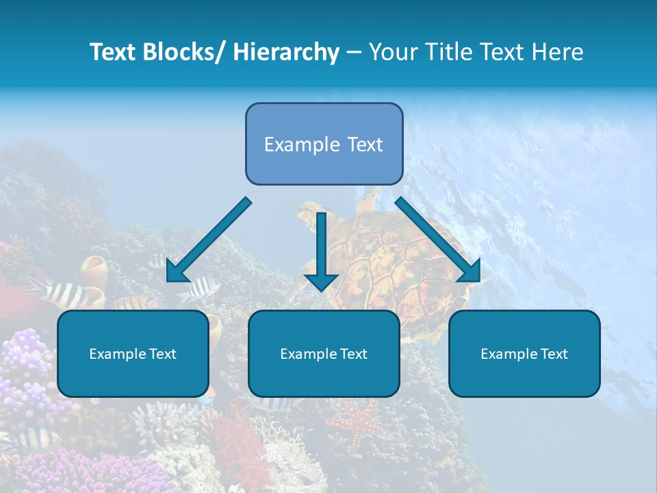 Coral Tropical Holiday PowerPoint Template